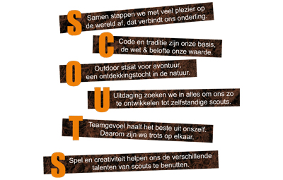 Spelvisie