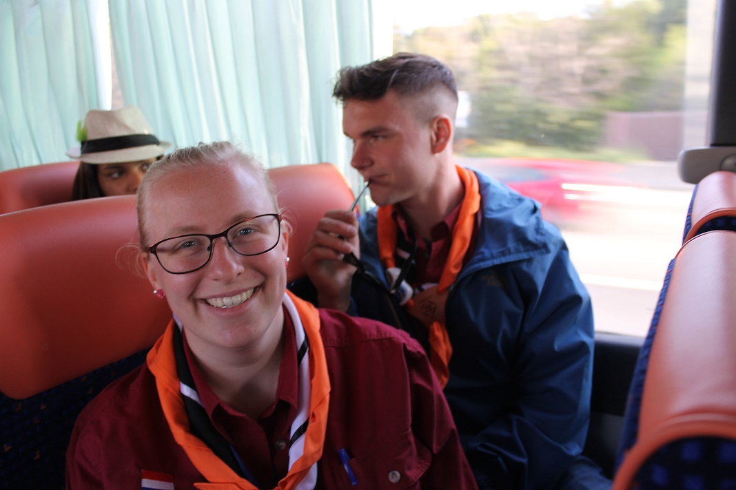 bus